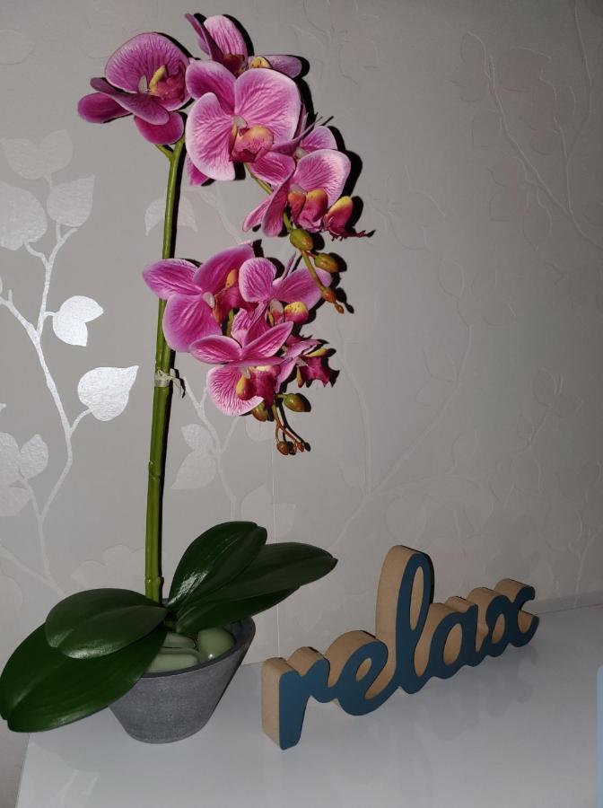 Zlatibor Hills Royal Appartement Buitenkant foto