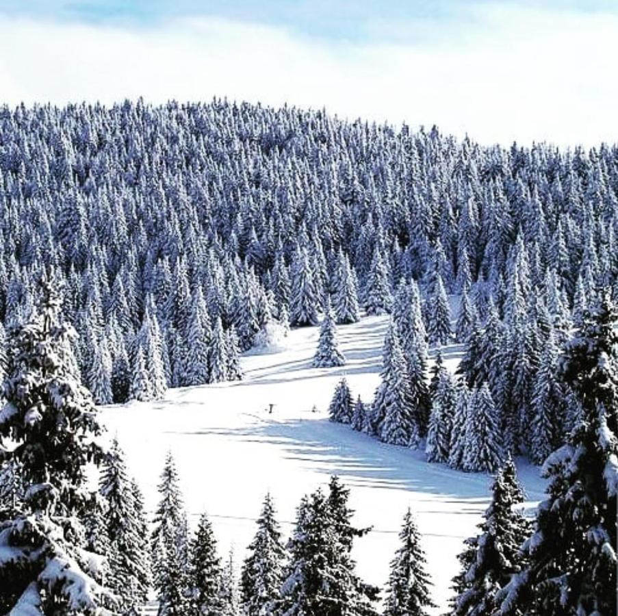 Zlatibor Hills Royal Appartement Buitenkant foto