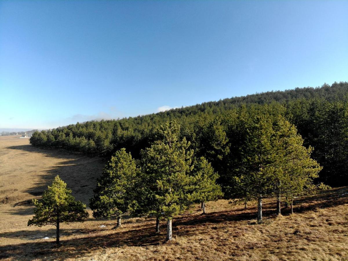 Zlatibor Hills Royal Appartement Buitenkant foto